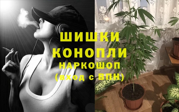 экстази Грязовец