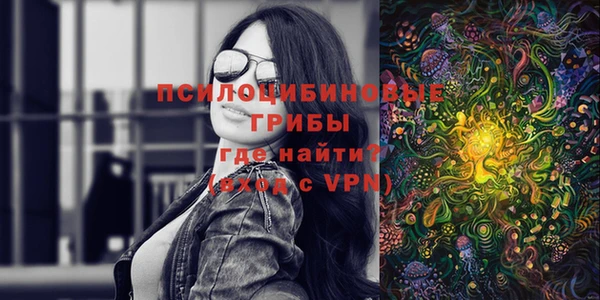 шишки Сафоново