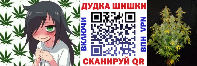 Марихуана план  Кадников 